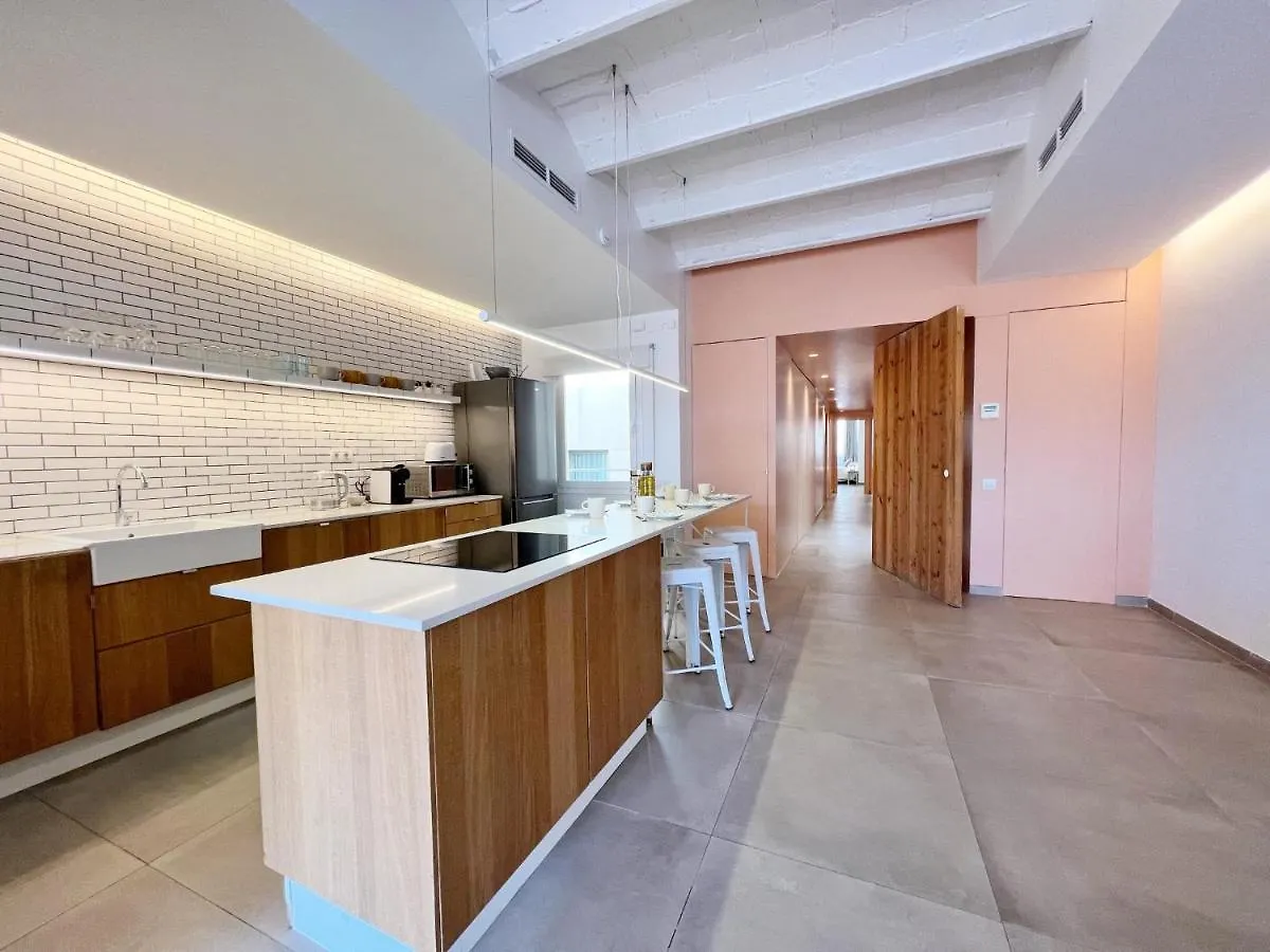 Plaza Cataluna Penthouse Barcelona 0*,